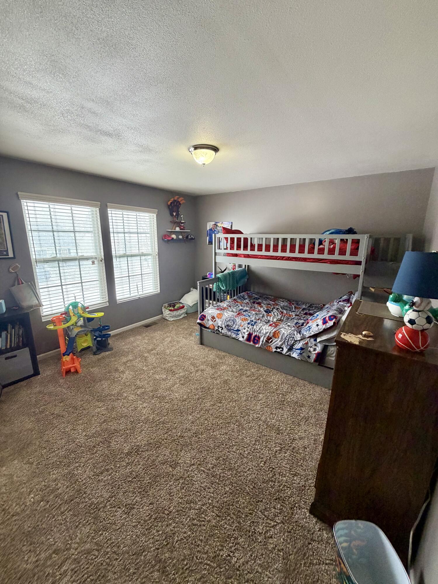 1037 Prairie Lane Milan, MI 48160 - Photo 20 of 43 IMG_7268