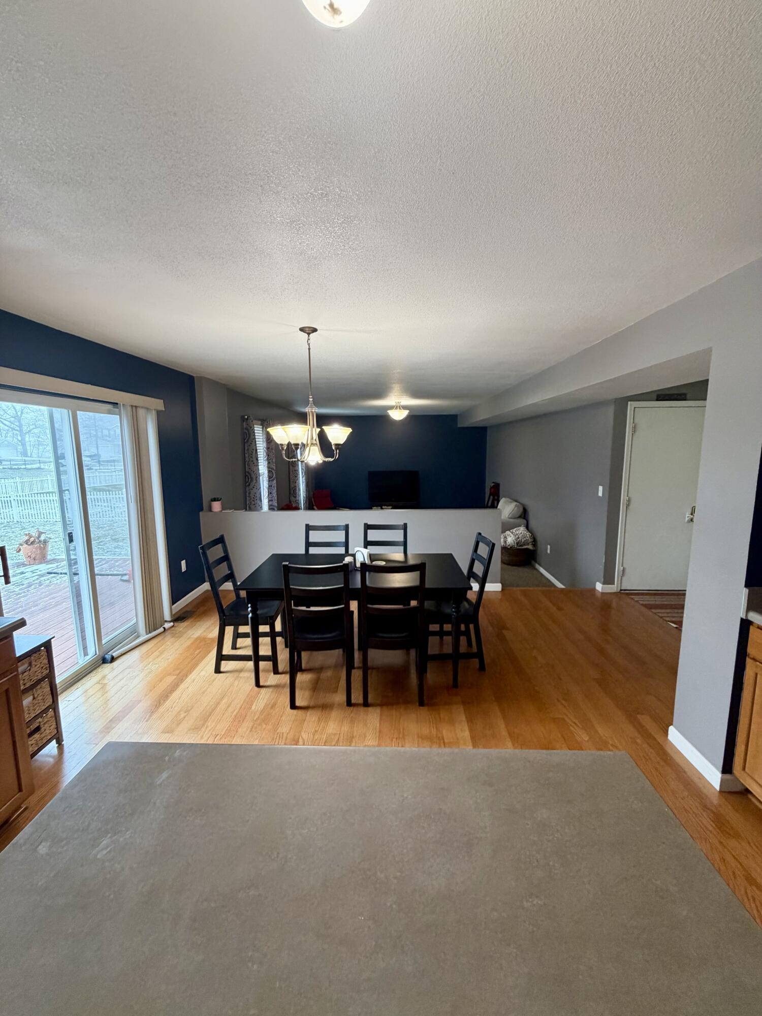 1037 Prairie Lane Milan, MI 48160 - Photo 7 of 43 IMG_7258