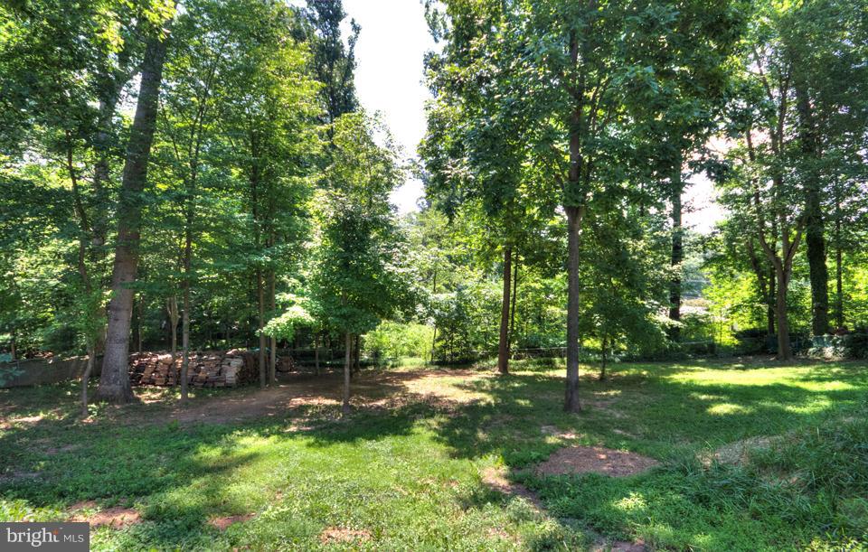 4621 Guinea Road Annandale, VA 22003 - Photo 3 of 30 Exterior (Rear)