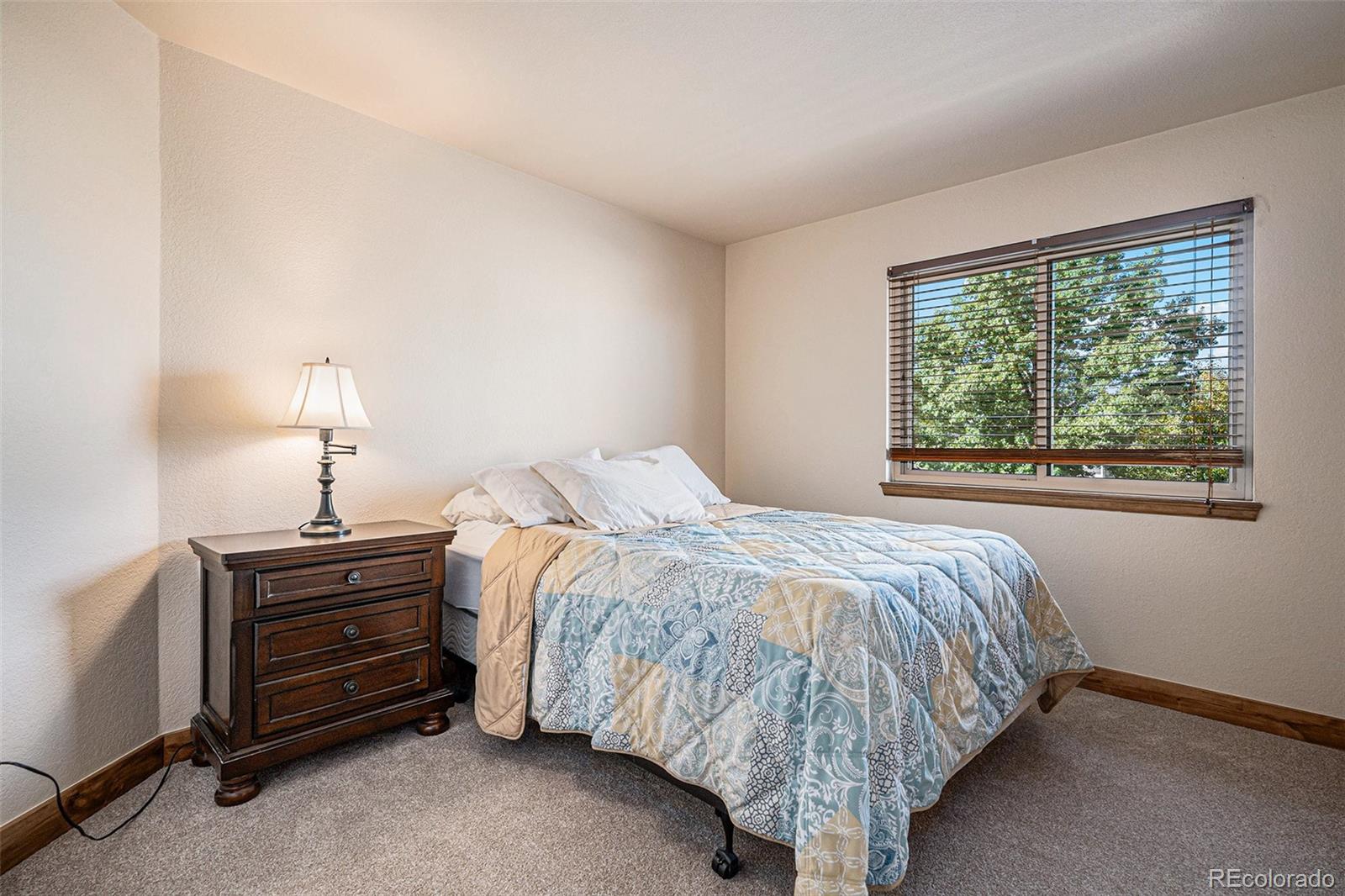 9212 Prairie View Drive Highlands Ranch, CO 80126 - Photo 22 of 37 Gallery Image 22