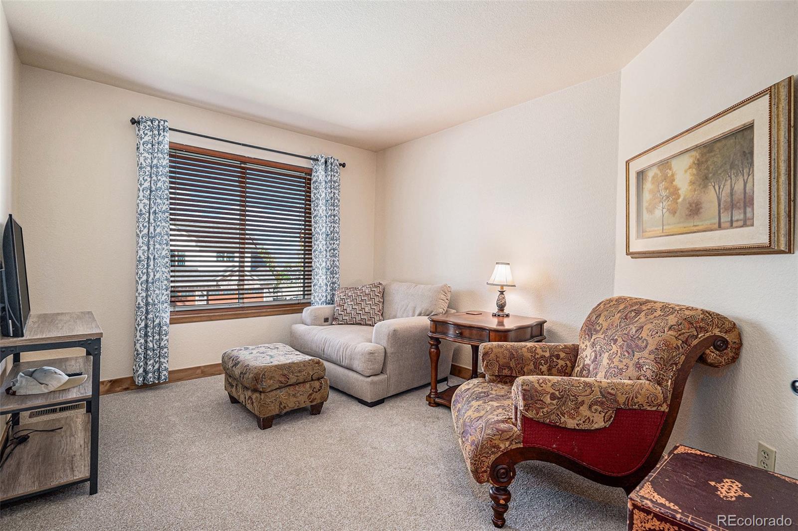 9212 Prairie View Drive Highlands Ranch, CO 80126 - Photo 27 of 37 Gallery Image 27