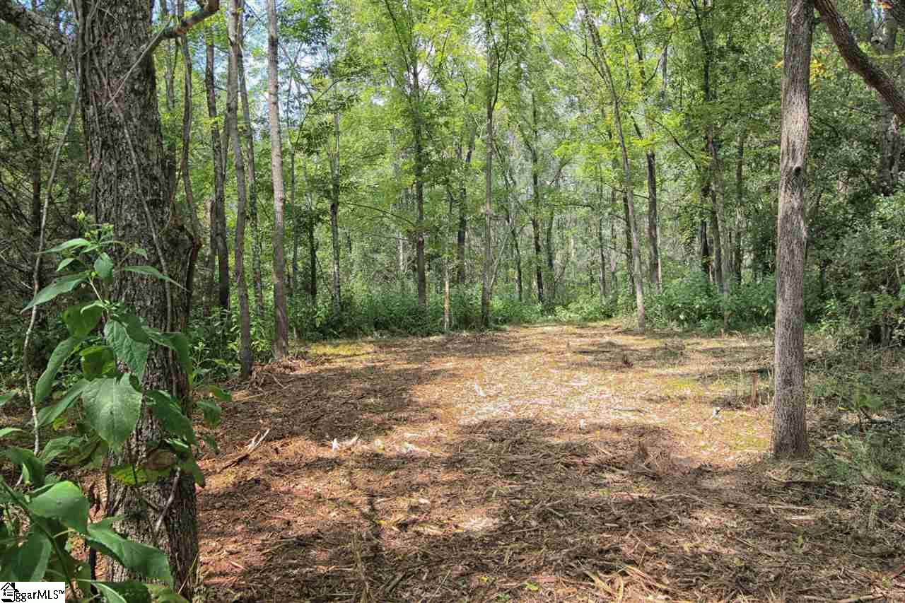 0 North Cedar Rock Road Easley, SC 29640 - Photo 17 of 19