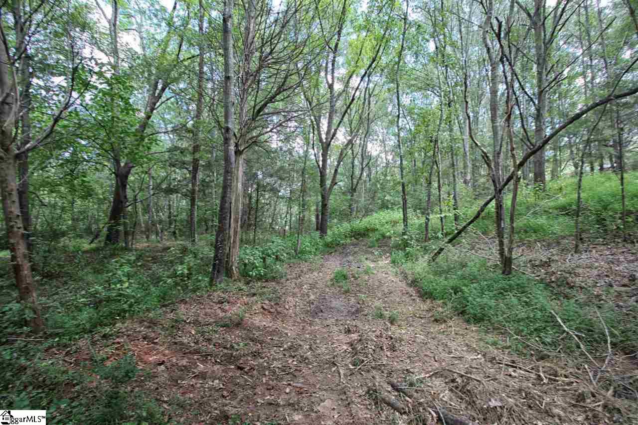 0 North Cedar Rock Road Easley, SC 29640 - Photo 18 of 19