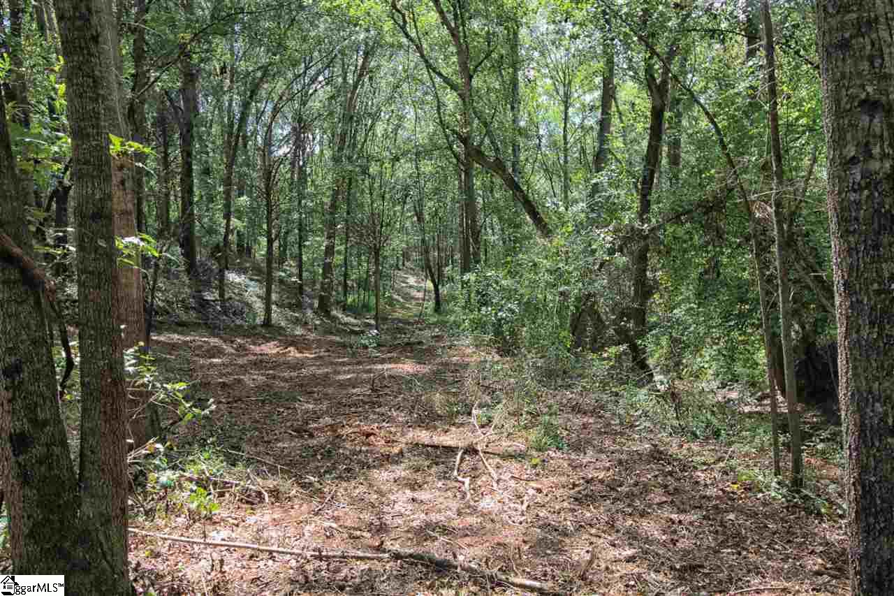 0 North Cedar Rock Road Easley, SC 29640 - Photo 19 of 19