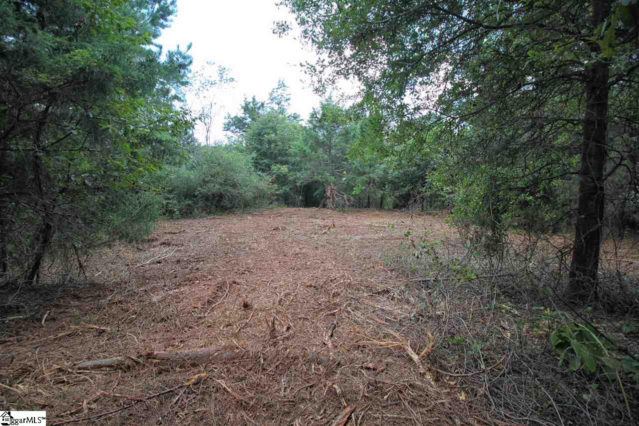 0 North Cedar Rock Road Easley, SC 29640 - Photo 6 of 19