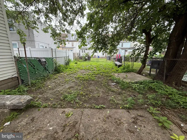 a view of a yard with plants and a large tree