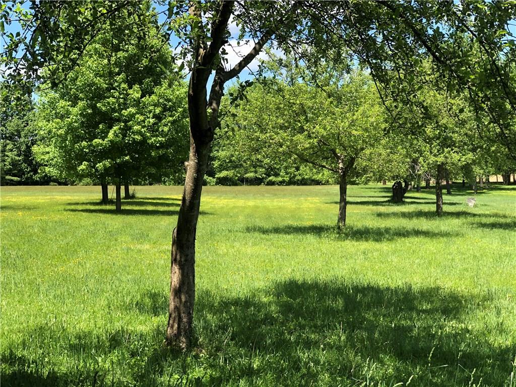 1833 Hale Road Venus, PA 16364 - Photo 18 of 23 Apple Orchard