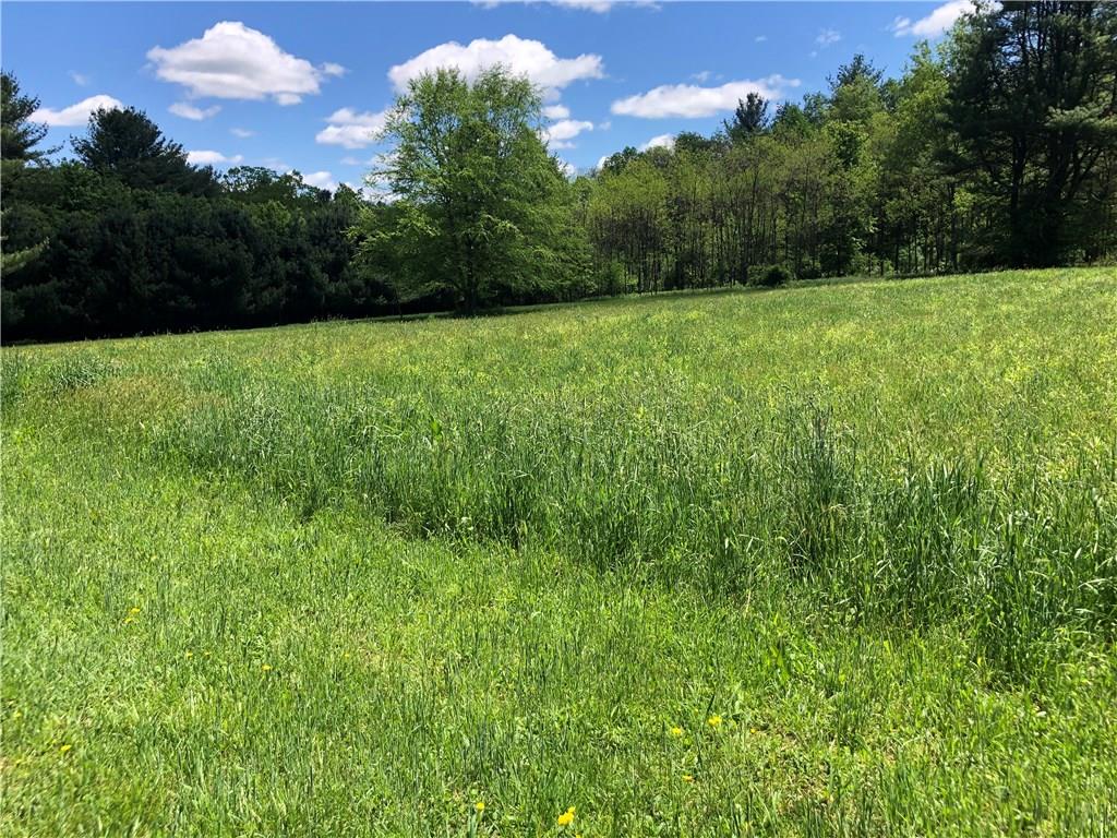 1833 Hale Road Venus, PA 16364 - Photo 20 of 23 Field above the house