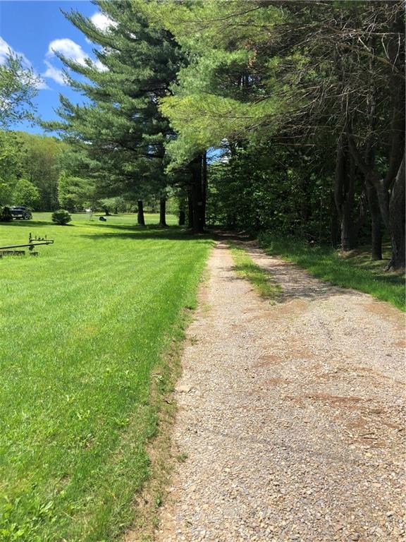 Long, flat driveway to the house