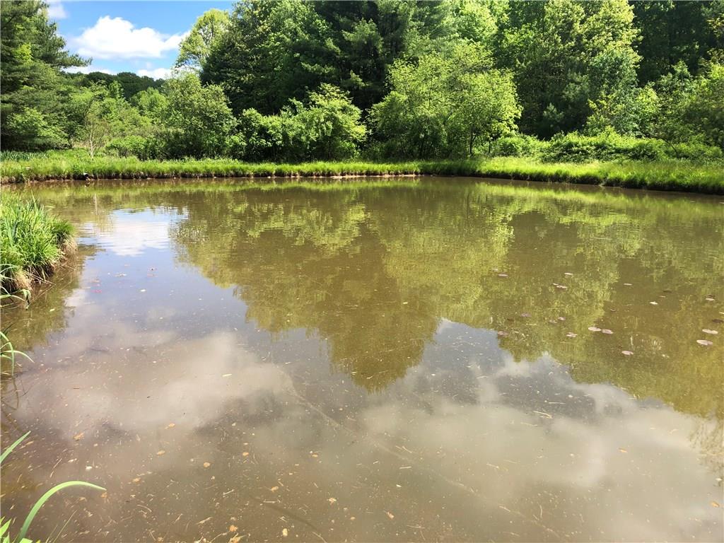 1833 Hale Road Venus, PA 16364 - Photo 23 of 23 Bass Pond