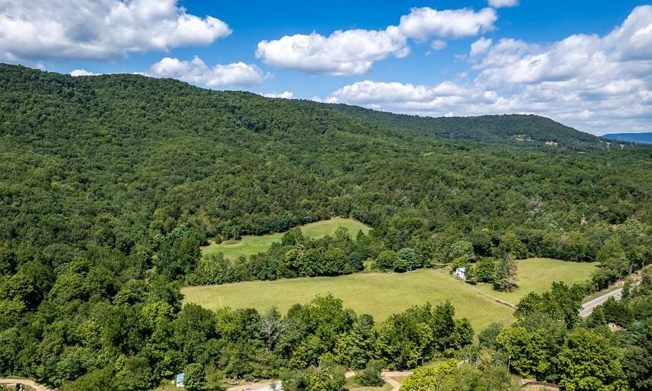 0 Route 259 Mathias Wv 26812 Mathias, WV 26812 - Photo 3 of 11 Gallery Image 3