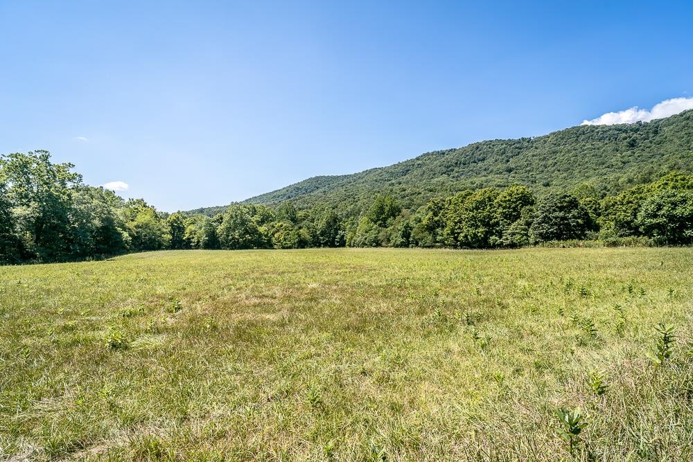 0 Route 259 Mathias Wv 26812 Mathias, WV 26812 - Photo 10 of 11 Gallery Image 10