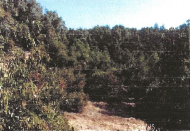 10438 Couser Bonsall Ca  