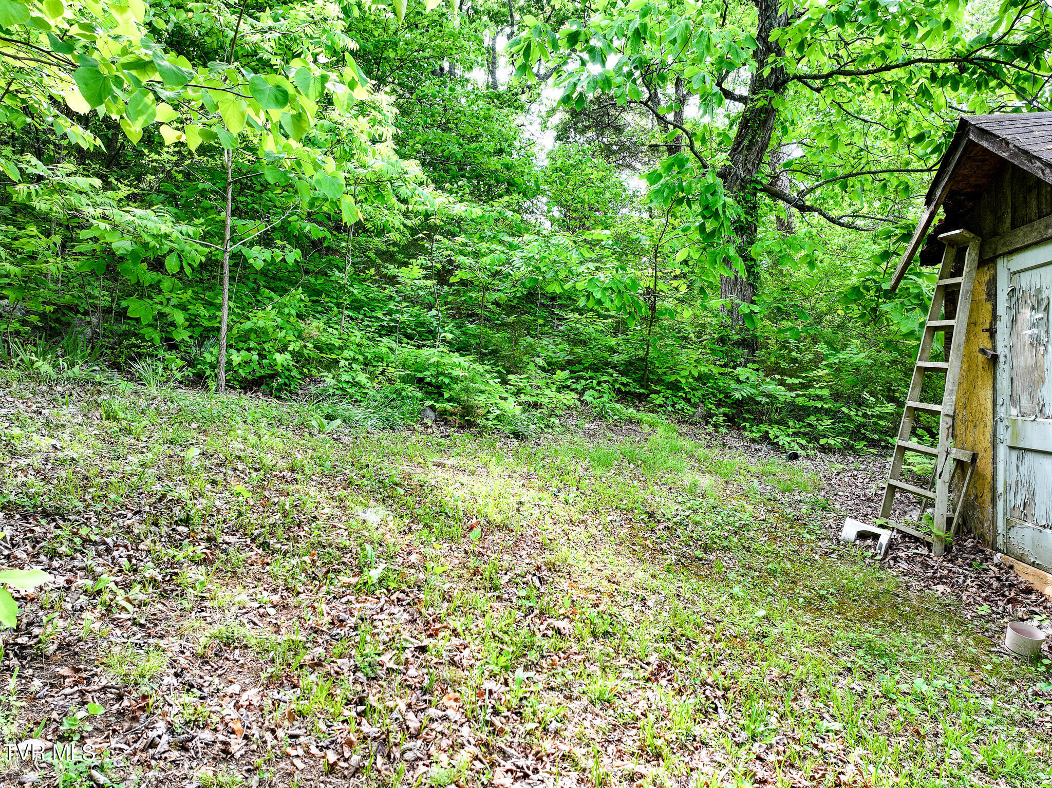 2084 Baileyton Road Greeneville, TN 37745 - Photo 43 of 57 32