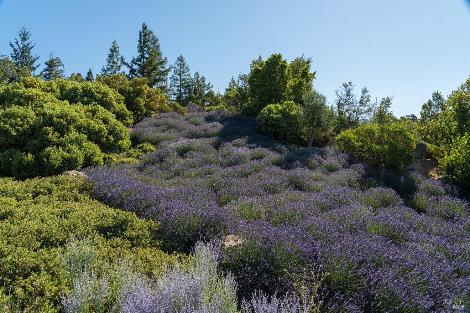 2947 Cavedale Road Glen Ellen, CA 95442 - Photo 32 of 33