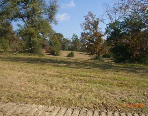1 Parcel 1 Ballard Road Perkinston, MS 39573 - Photo 3 of 4 Additional Photo
