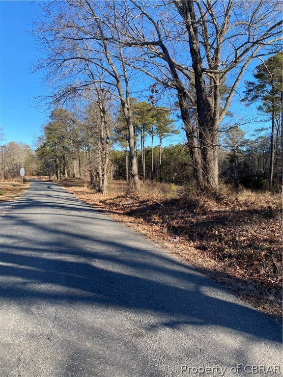 0 Mosquito Point Road White Stone, VA 22578 - Photo 6 of 13