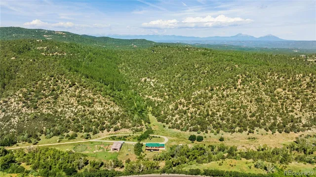 a view of a lush green outdoor space with a mountain