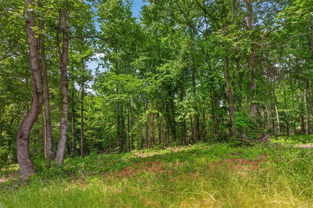 0 Conns Creek Road Ball Ground, GA 30107 - Photo 29 of 57