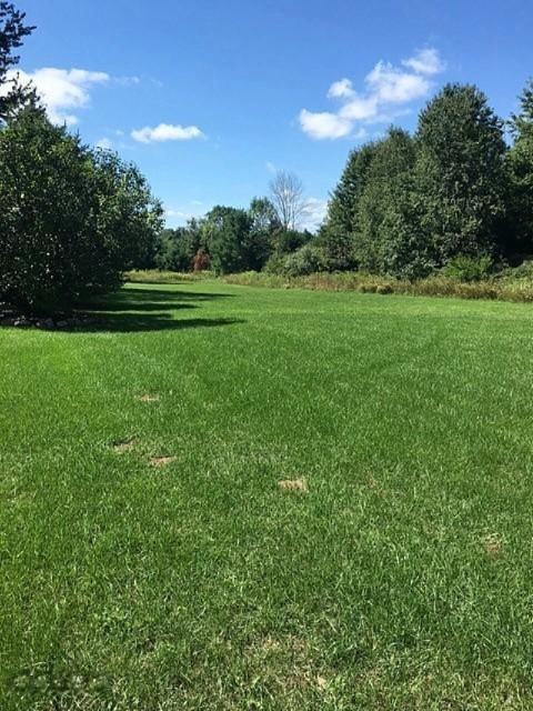 5125 Blackmer Road Ravenna, MI 49451 - Photo 25 of 33 Backyard 1