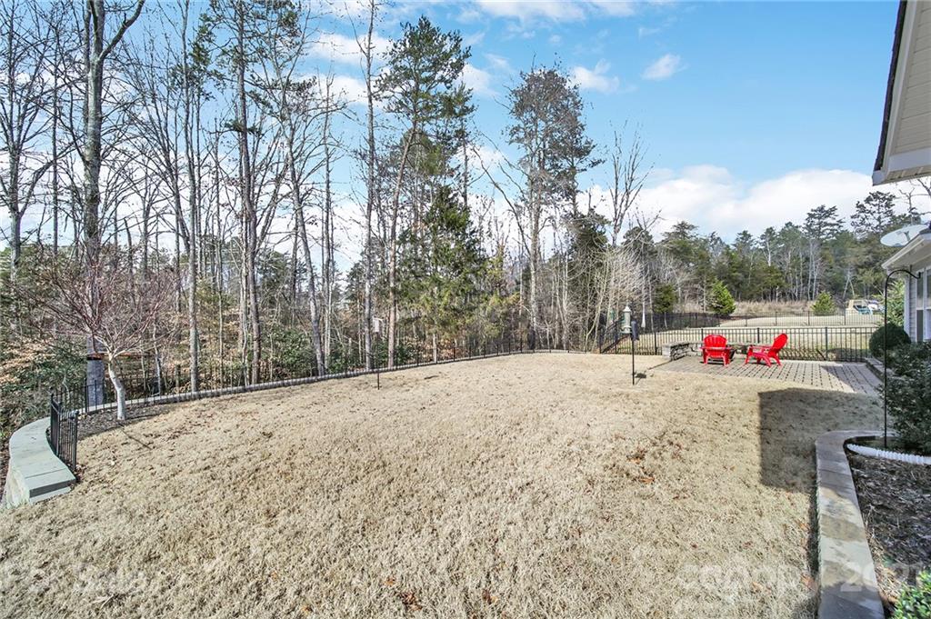 227 Annatto Way Tega Cay, SC 29708 - Photo 47 of 48 Gallery Image 47