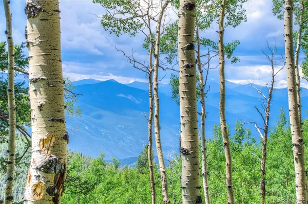 $630,000 | 0 Robinson Hill Road, Black Hawk, CO 80422
