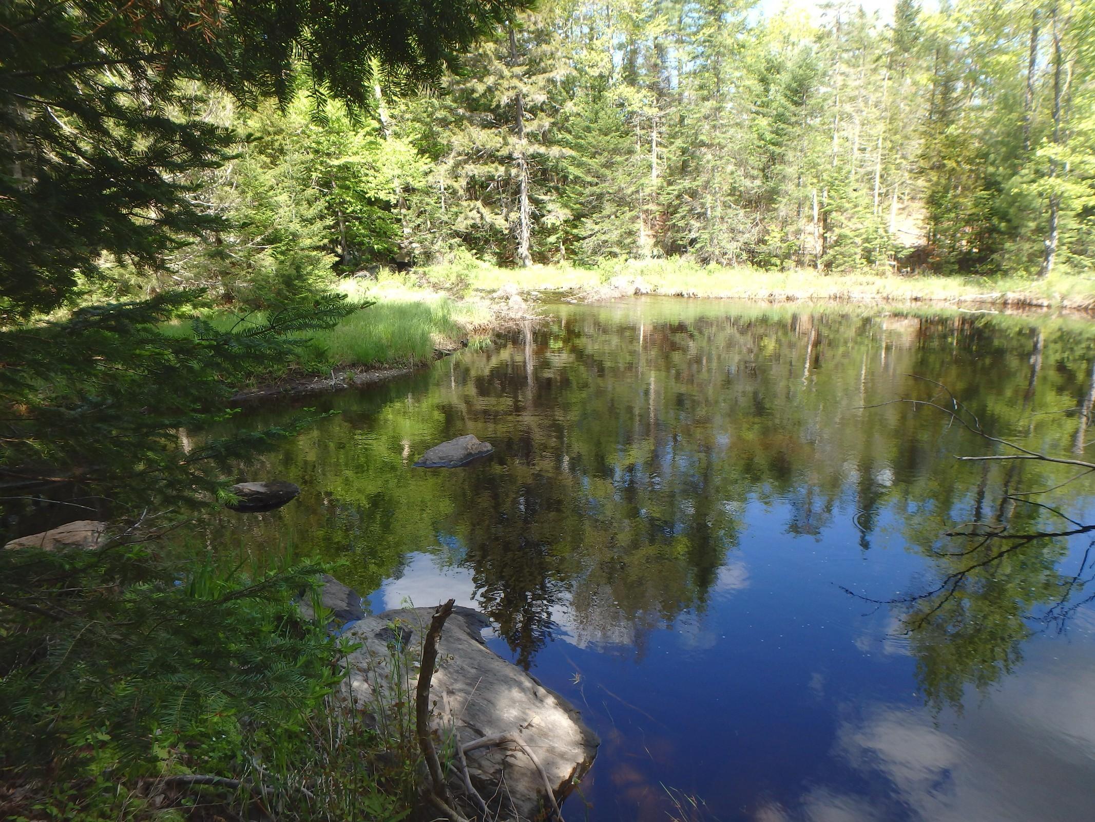 0 Dresser Road Bucksport, ME 04416 - Photo 6 of 7 Soucy_11108_P06_117276