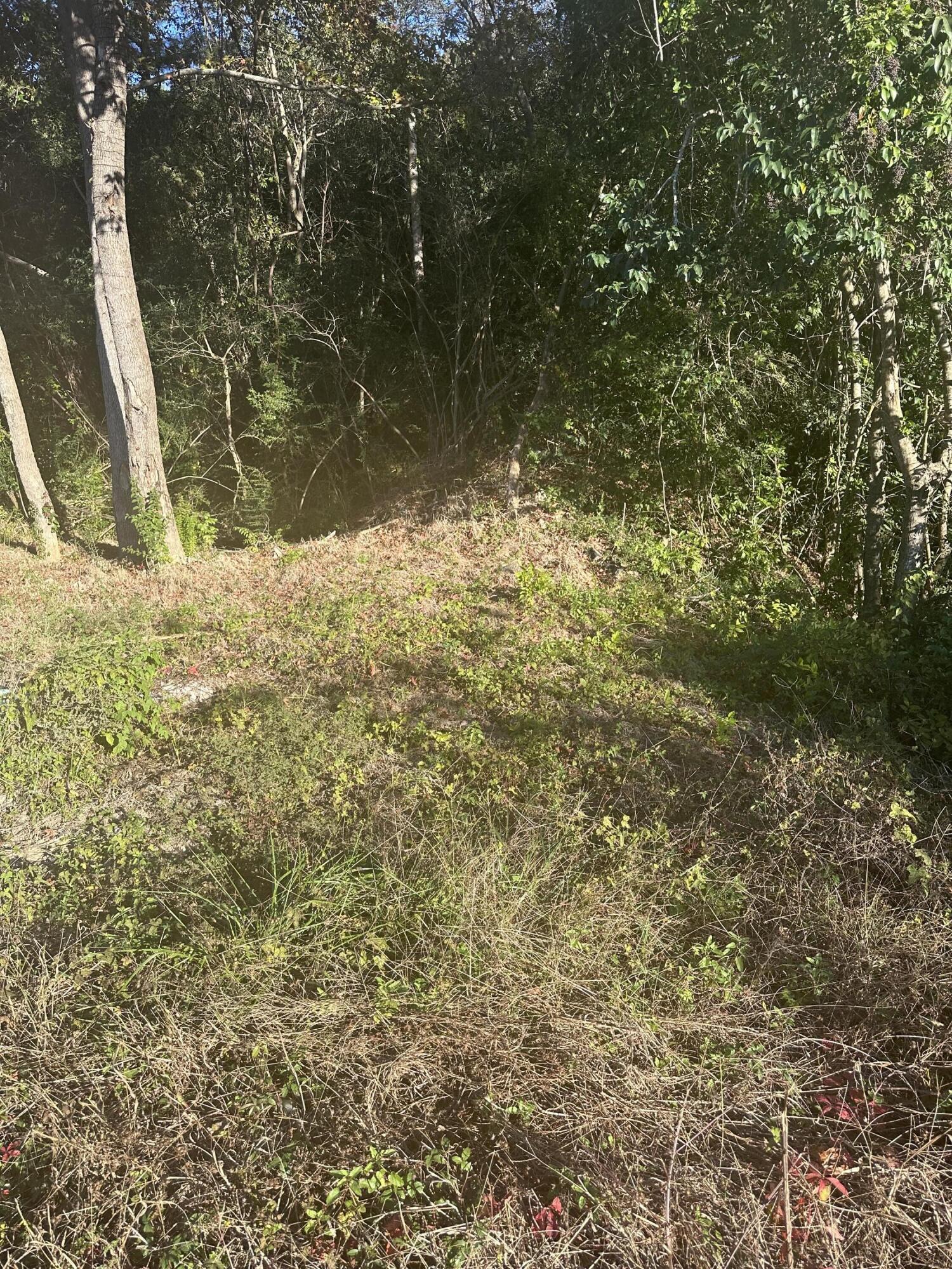 220 Highway 52 Moncks Corner, SC 29461 - Photo 2 of 4 IMG_6027