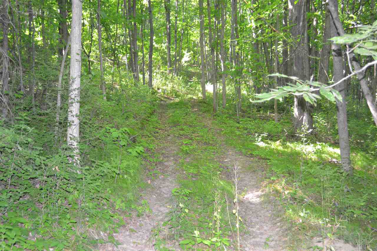 350 Duffany Road Shoreham, VT 05770 - Photo 18 of 22