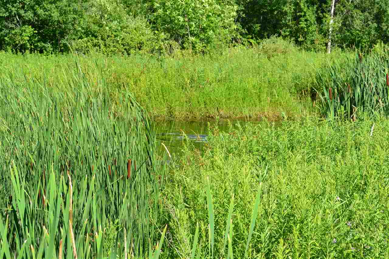 350 Duffany Road Shoreham, VT 05770 - Photo 20 of 22
