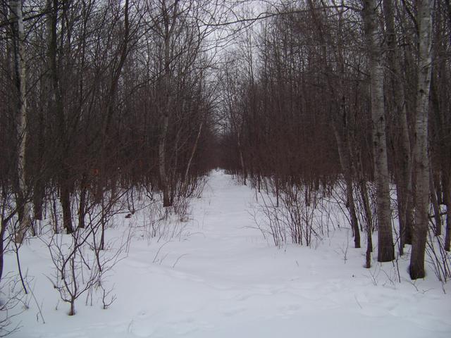 3690 Pennington Road, Unit NEAR Prentice, WI 54556 - Photo 5 of 8 Gallery Image 5