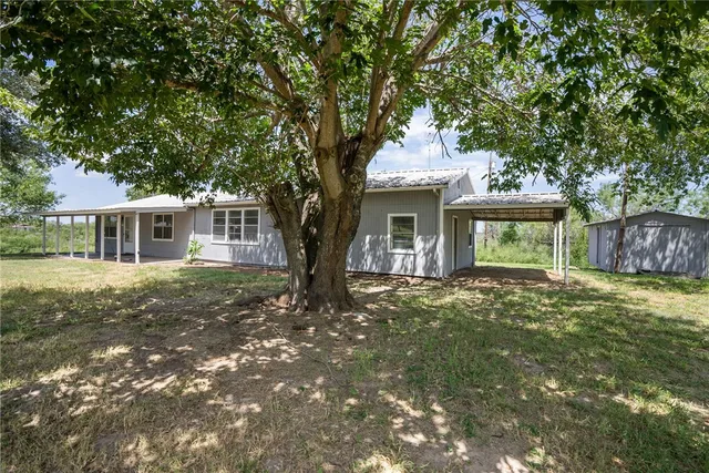 a view of a park with large trees