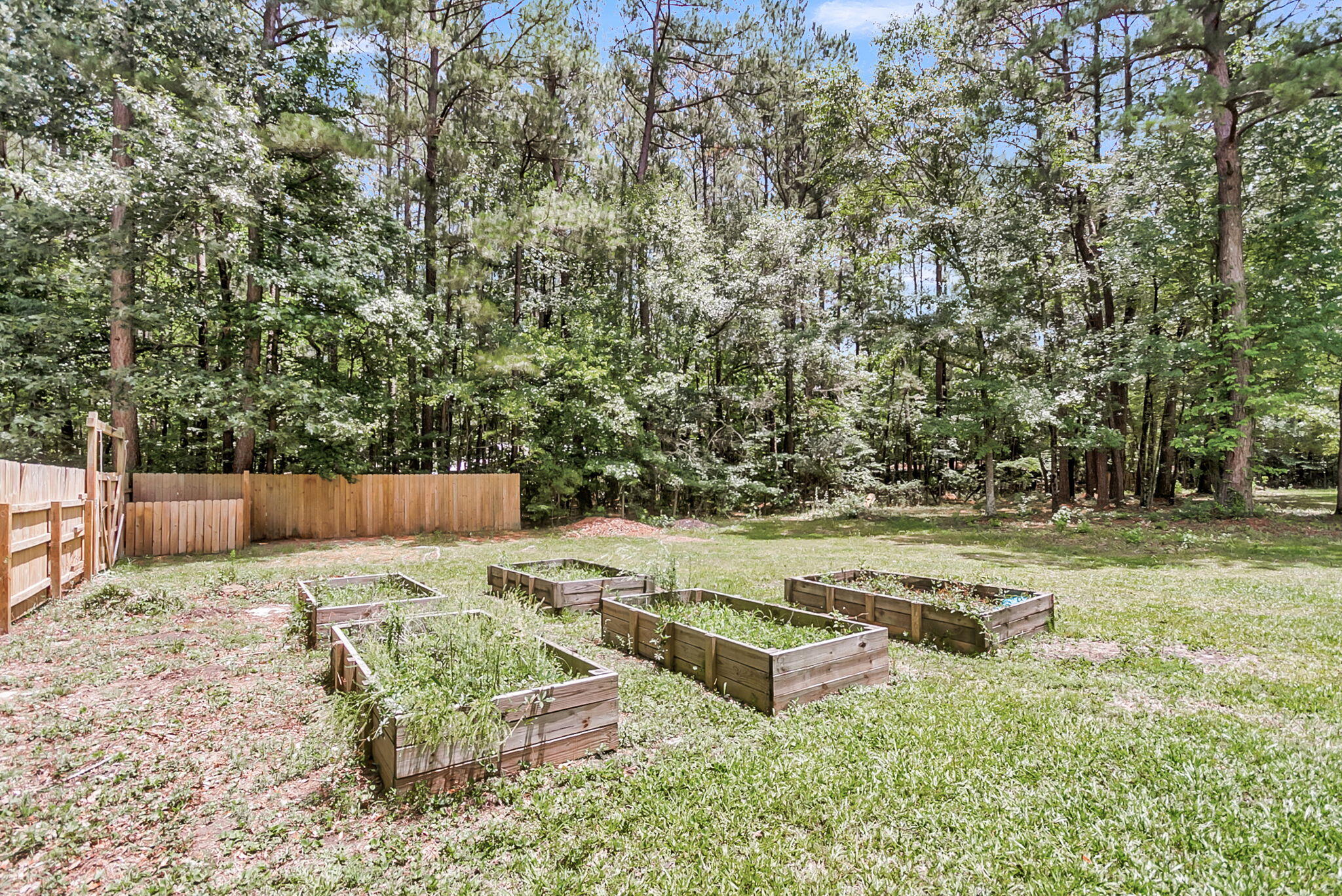 1115 Witherbee Road Moncks Corner, SC 29461 - Photo 54 of 59