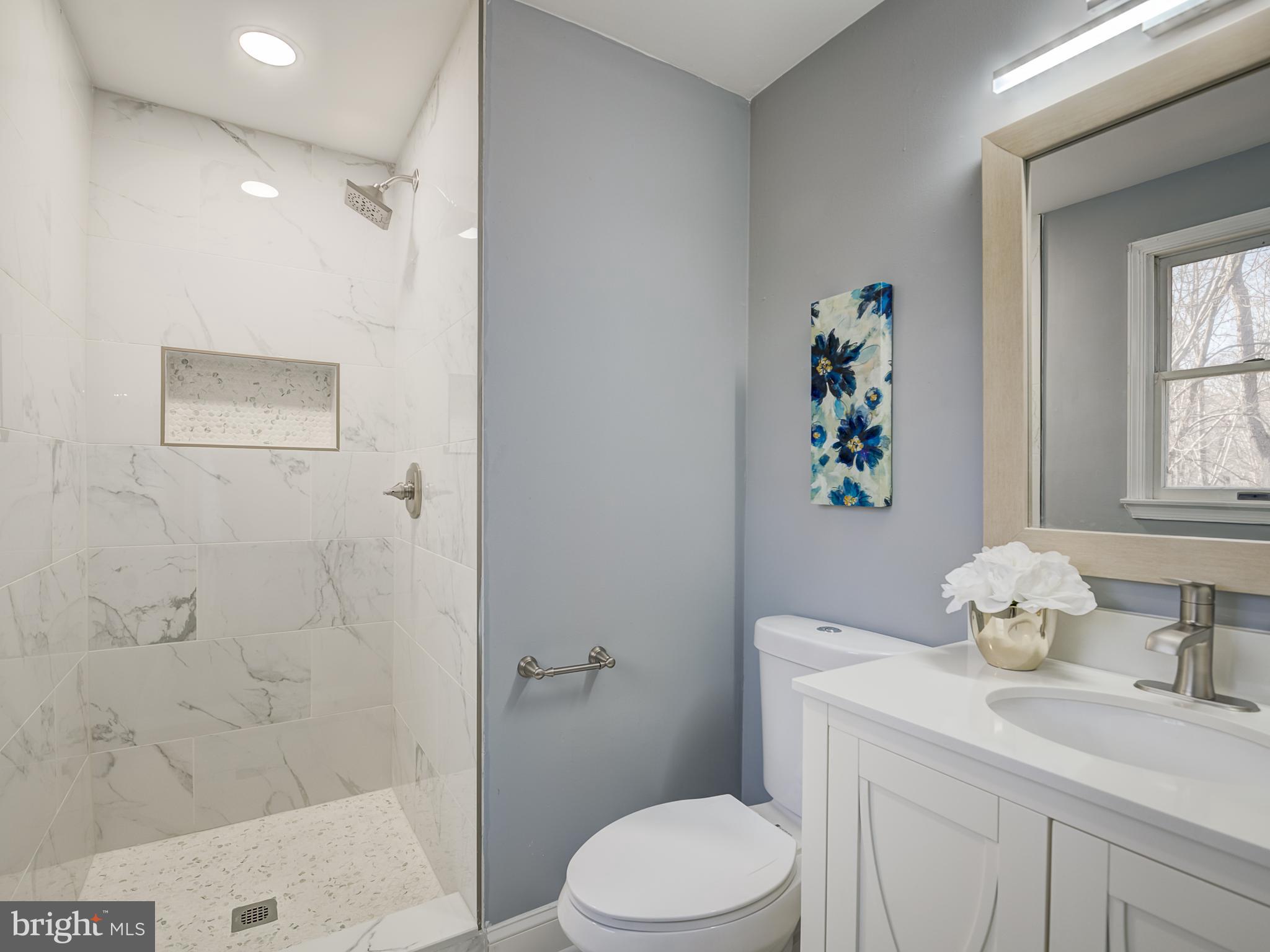 10814 Oldfield Drive Reston, VA 20191 - Photo 43 of 77 a bathroom with a sink a toilet and shower curtain