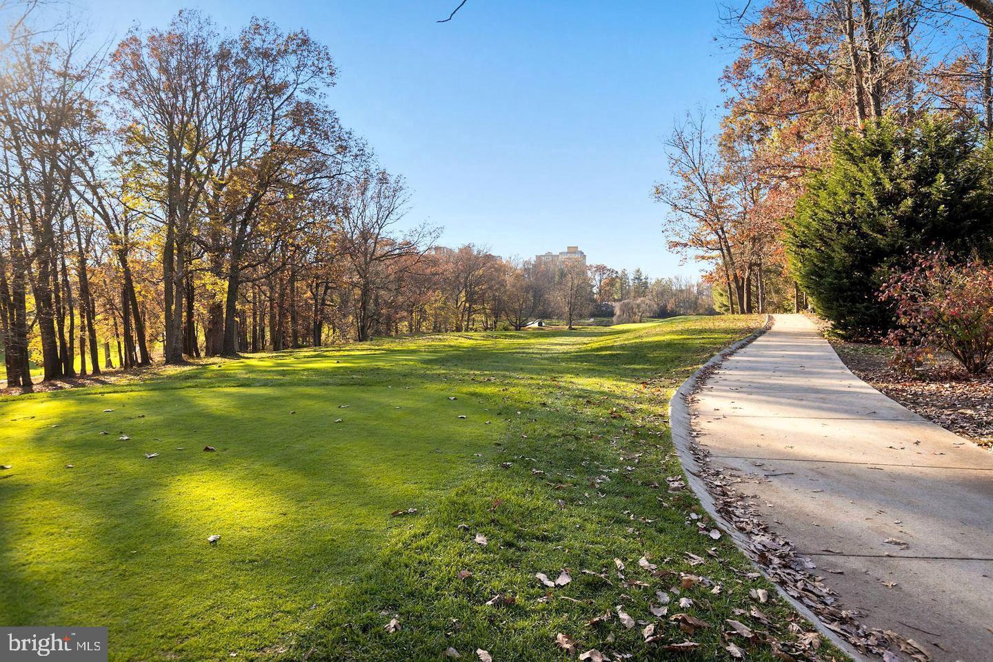 10814 Oldfield Drive Reston, VA 20191 - Photo 68 of 77