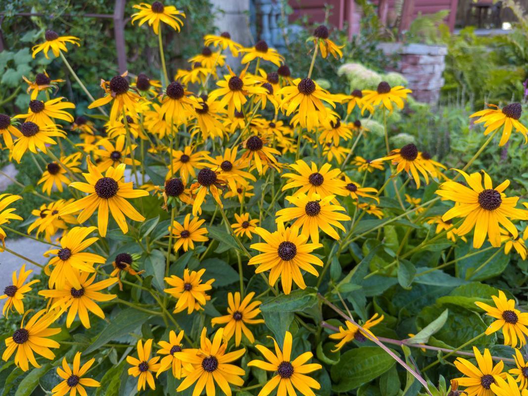 1124 8th Avenue Southwest Faribault, MN 55021 - Photo 46 of 57