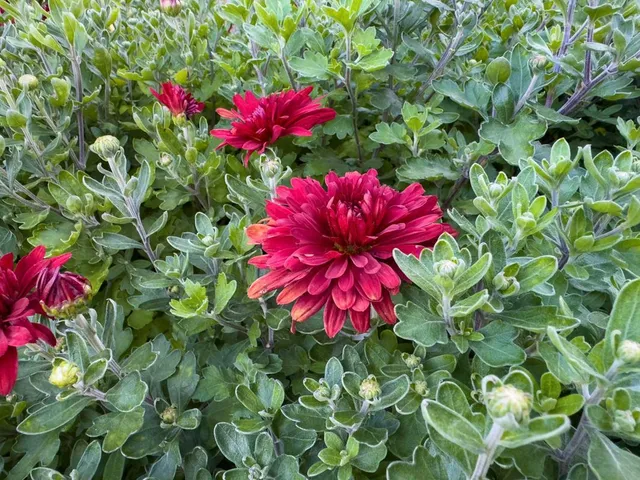 $269,900 | 1124 8th Avenue Southwest, Faribault, MN 55021