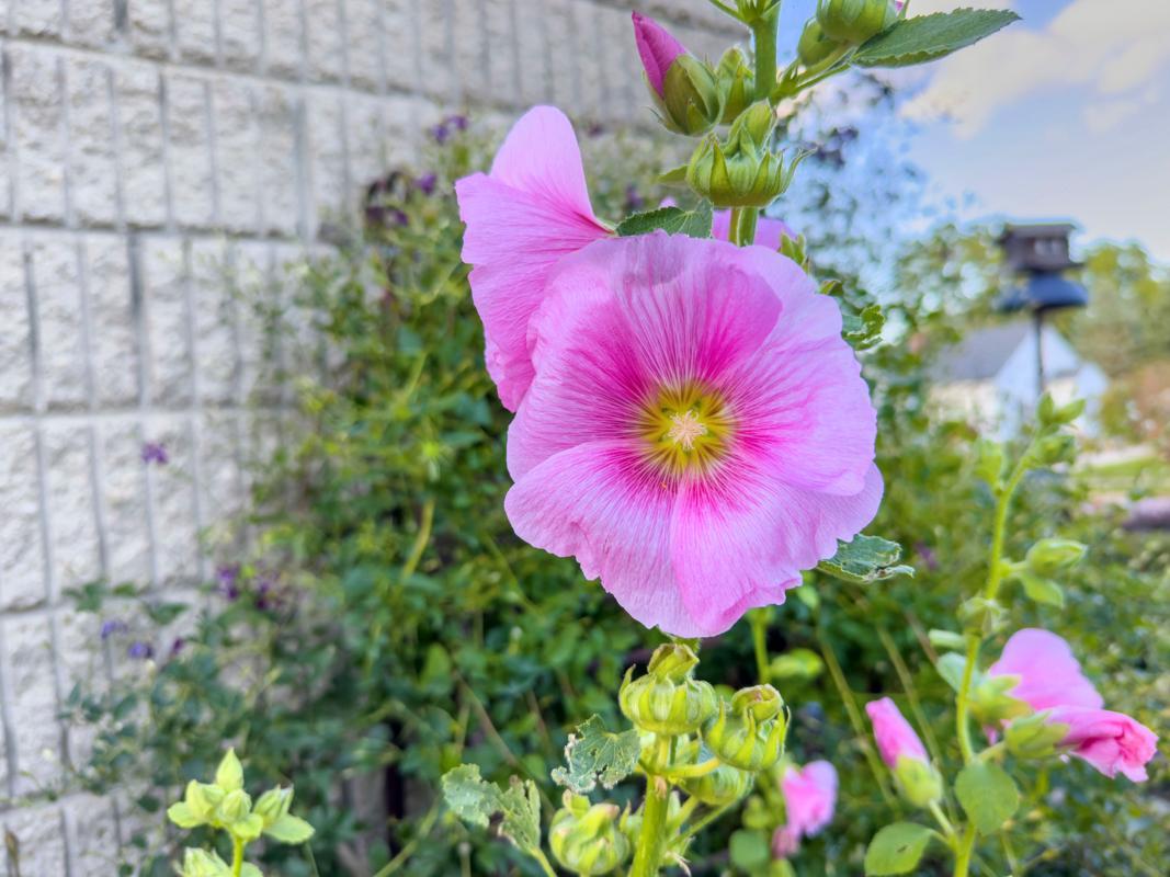 1124 8th Avenue Southwest Faribault, MN 55021 - Photo 48 of 57