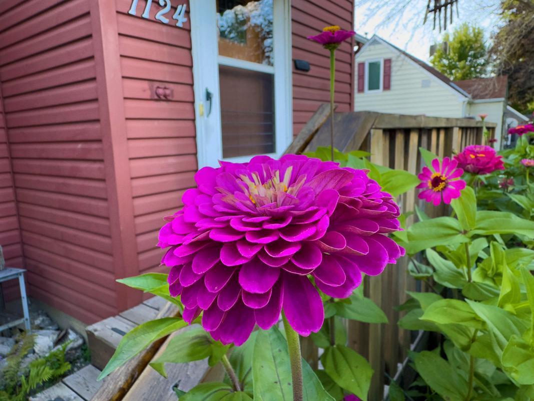 1124 8th Avenue Southwest Faribault, MN 55021 - Photo 49 of 57