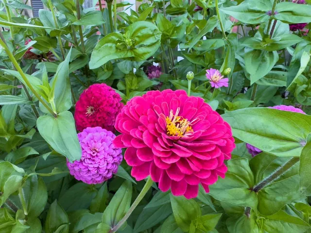 $269,900 | 1124 8th Avenue Southwest, Faribault, MN 55021