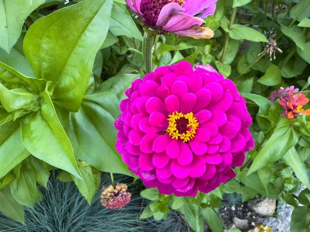 $269,900 | 1124 8th Avenue Southwest, Faribault, MN 55021