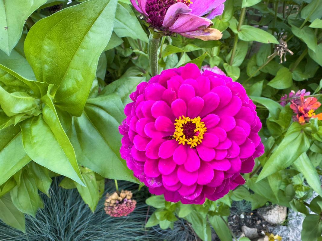 1124 8th Avenue Southwest Faribault, MN 55021 - Photo 51 of 57