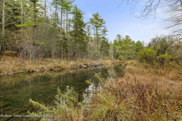 $990,000 | 2021-2071 Potic Mountain Road, Coxsackie, NY 12058