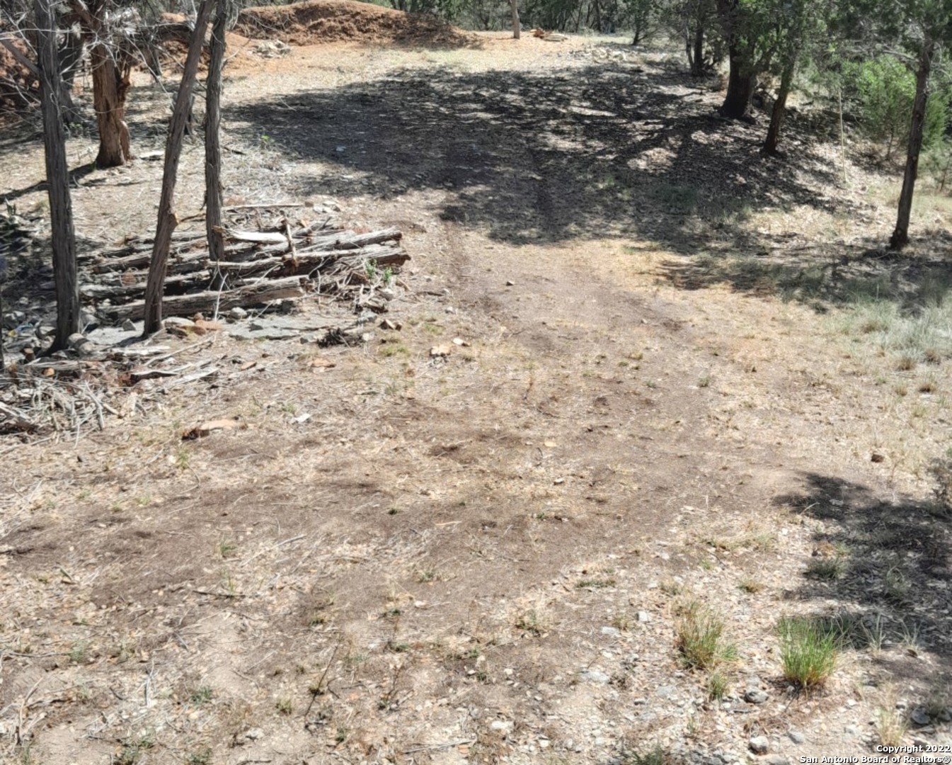 a view of a dry yard with trees