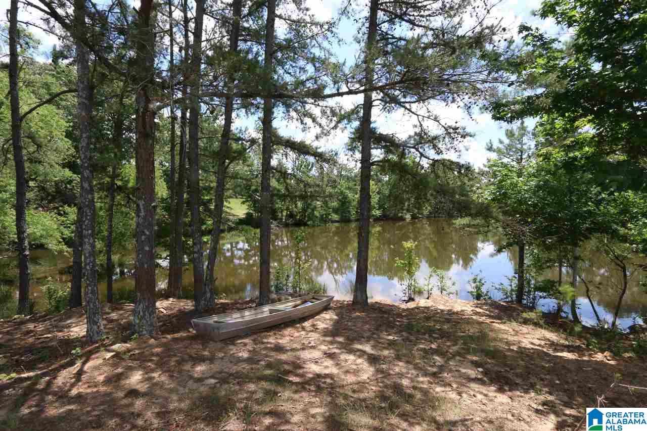 1900 Kiowa Road Remlap, AL 35133 - Photo 33 of 36