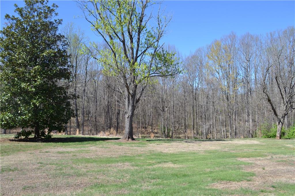 208 Twin Springs Road Mayodan, NC 27027 - Photo 29 of 31