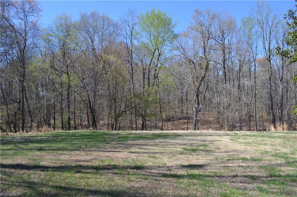 208 Twin Springs Road Mayodan, NC 27027 - Photo 30 of 31