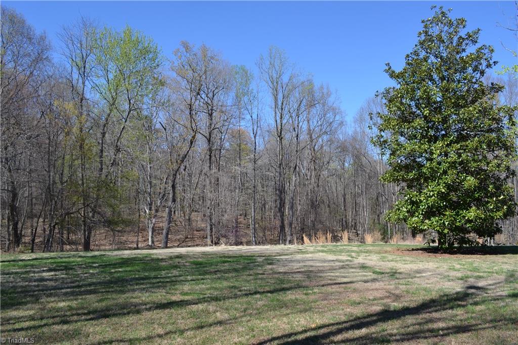 208 Twin Springs Road Mayodan, NC 27027 - Photo 31 of 31