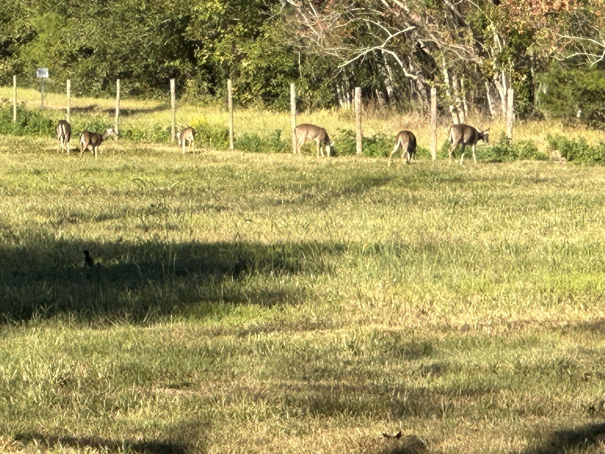 313 Roy Road Wallisville, TX 77597 - Photo 36 of 38