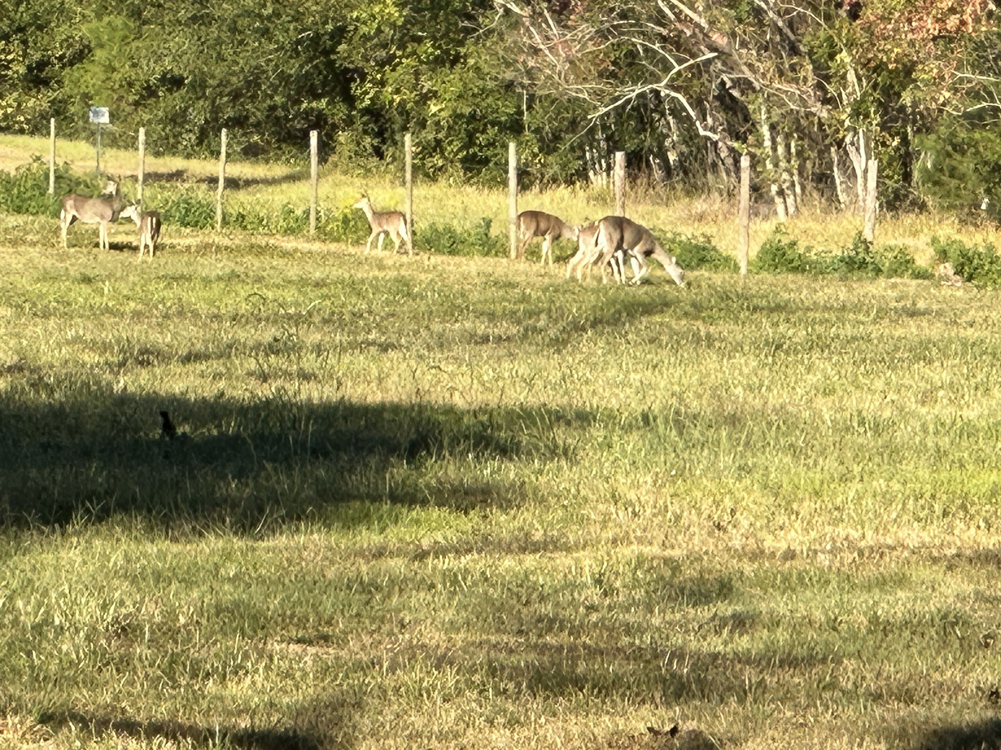 313 Roy Road Wallisville, TX 77597 - Photo 37 of 38